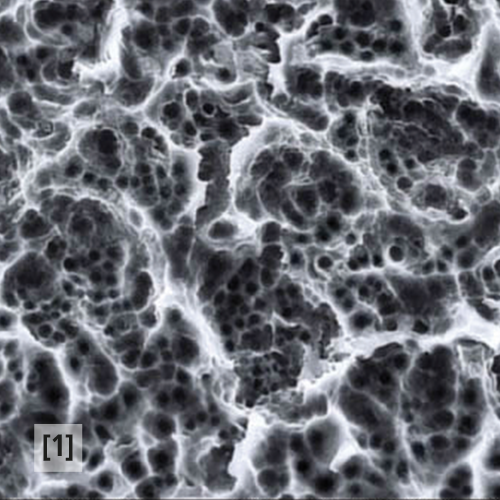 TBR Dental – BL surface1
